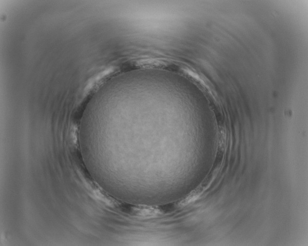 X0000088360621200706121057