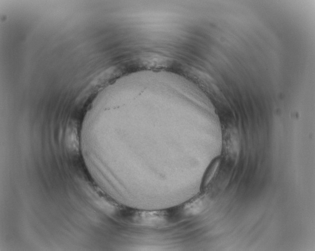 X0000088360622200706121056