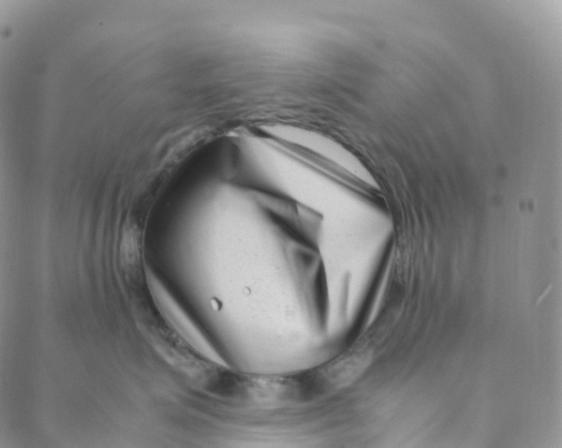 X0000088360623200706121056