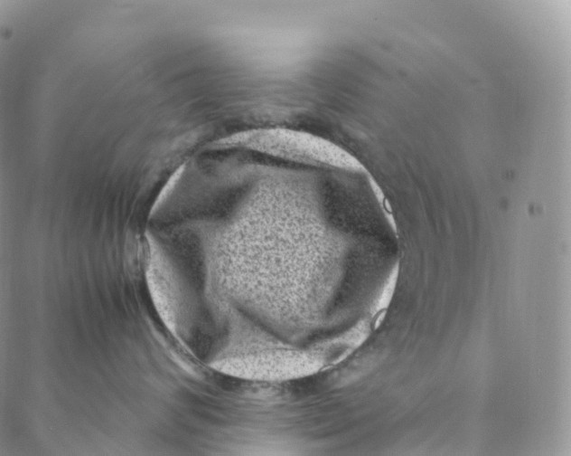 X0000088360624200706121056