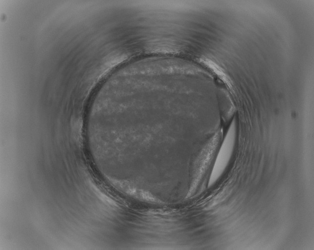 X0000088360627200706121056