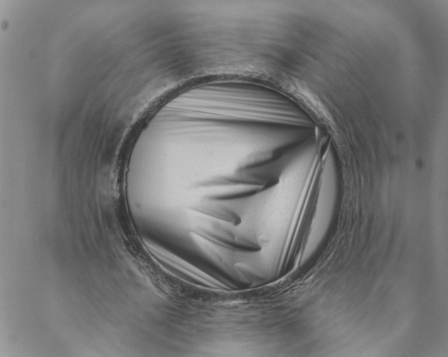 X0000088360628200706121056