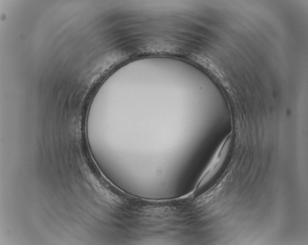 X0000088360629200706121056