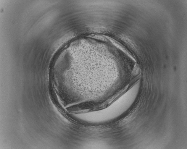 X0000088360630200706121056