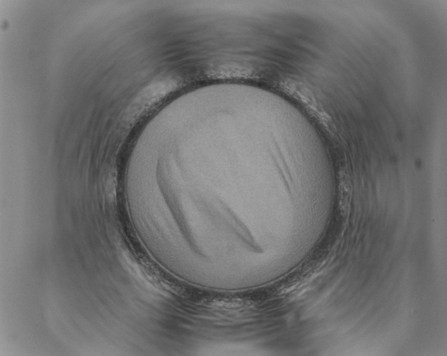 X0000088360631200706121056