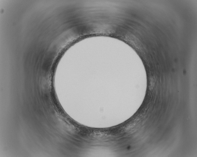 X0000088360632200706121056