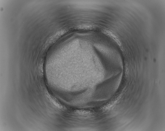 X0000088360633200706121056