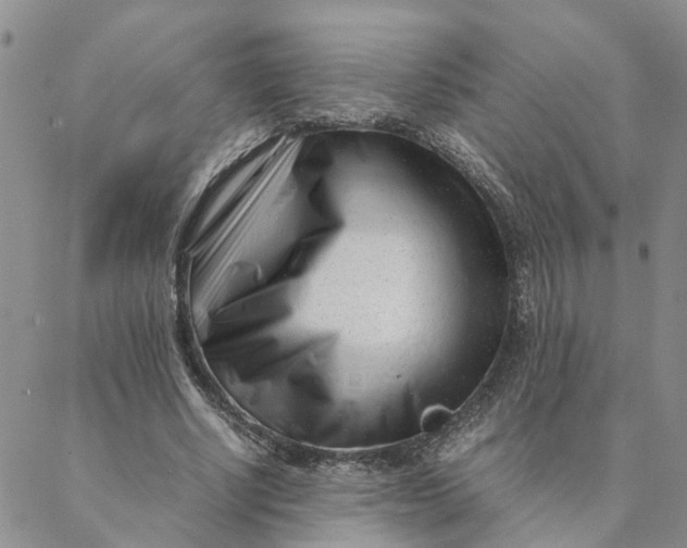 X0000088360634200706121056