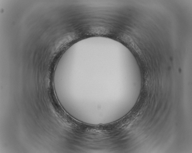 X0000088360635200706121056