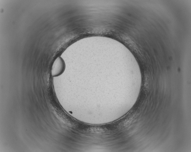 X0000088360636200706121056