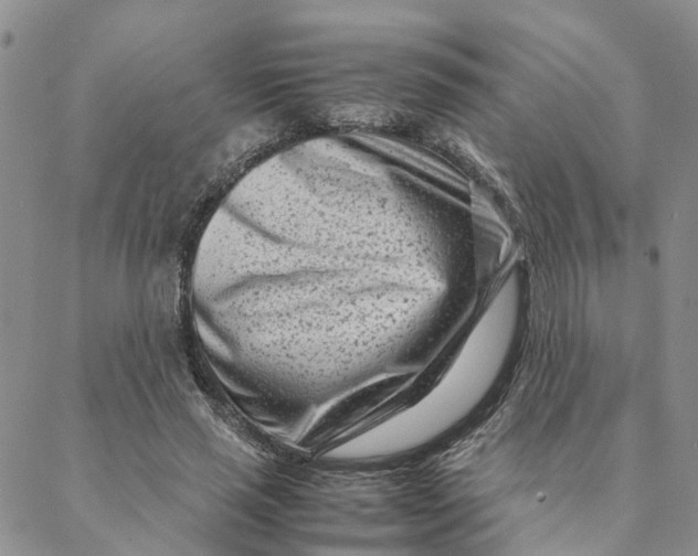 X0000088360637200706121056