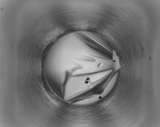 X0000088360638200706121056