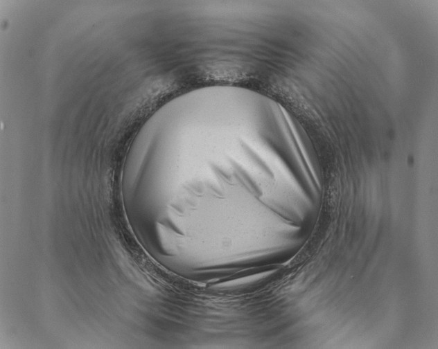 X0000088360639200706121056