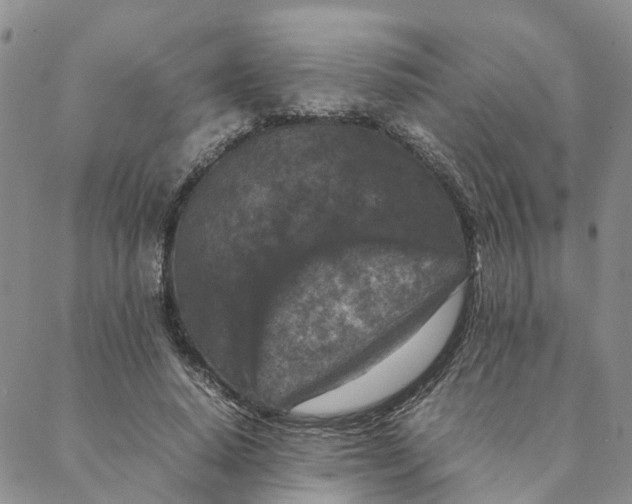 X0000088360640200706121056