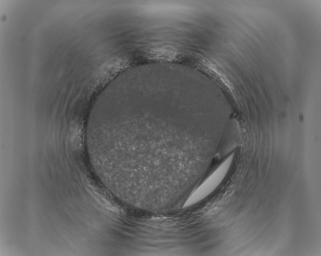 X0000088360641200706121056