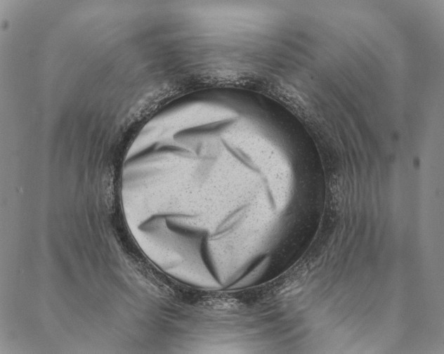 X0000088360642200706121056