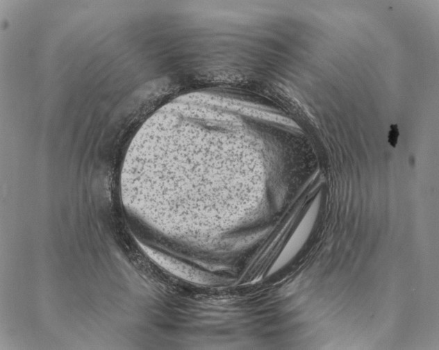 X0000088360643200706121056