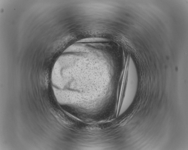 X0000088360644200706121056