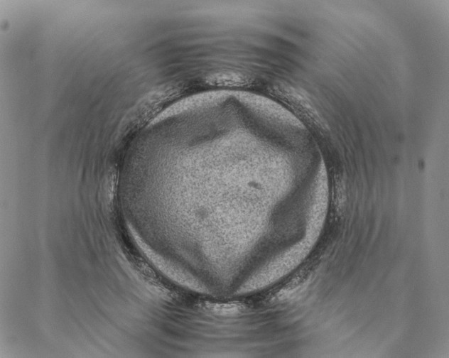 X0000088360645200706121056