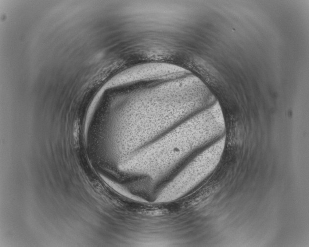 X0000088360646200706121056