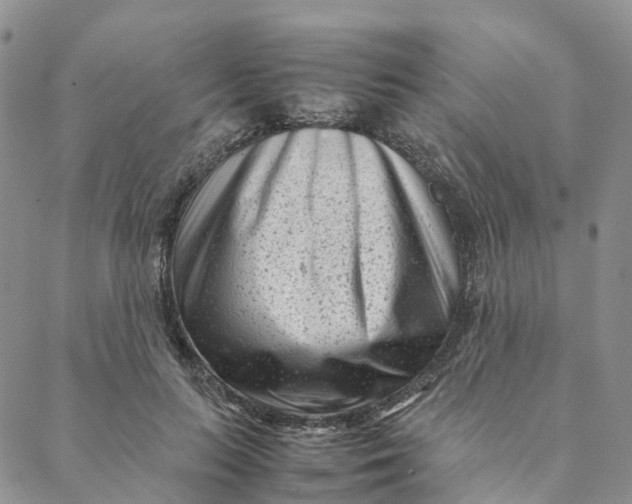 X0000088360647200706121056