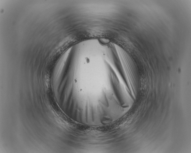 X0000088360648200706121056