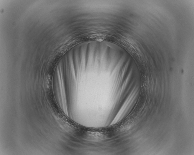 X0000088360649200706121056