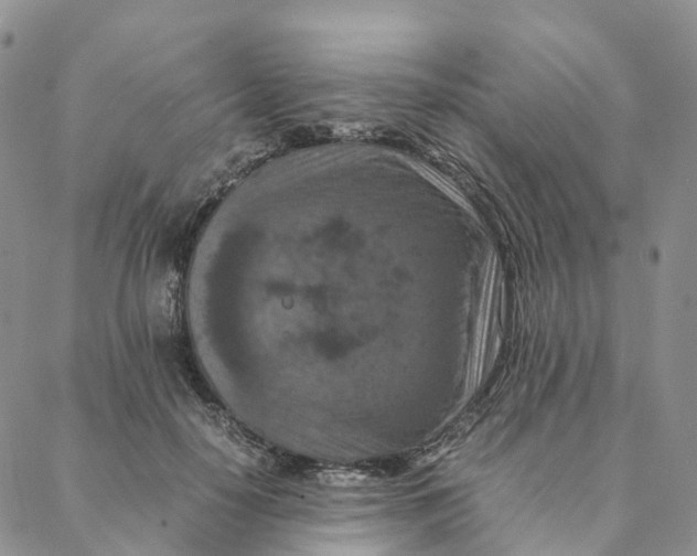 X0000088360650200706121056