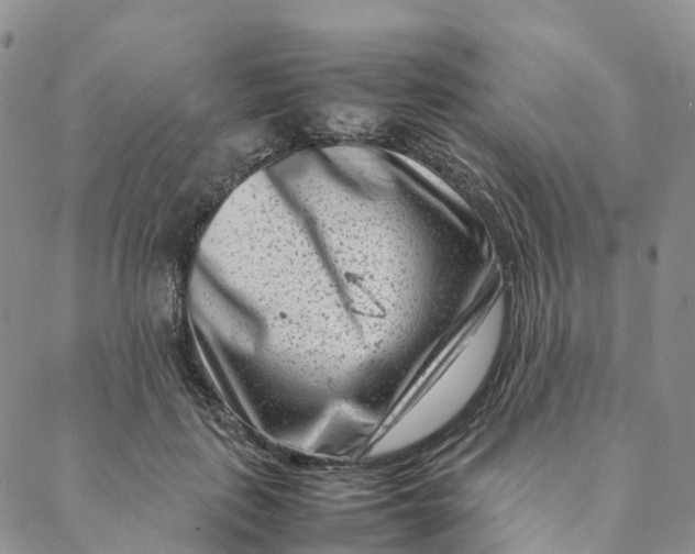 X0000088360651200706121056