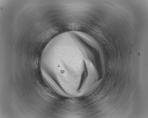 X0000088360652200706121056