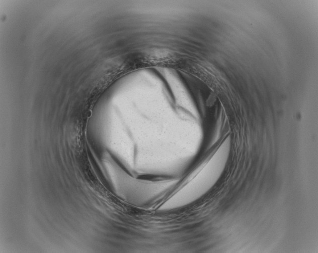 X0000088360653200706121056