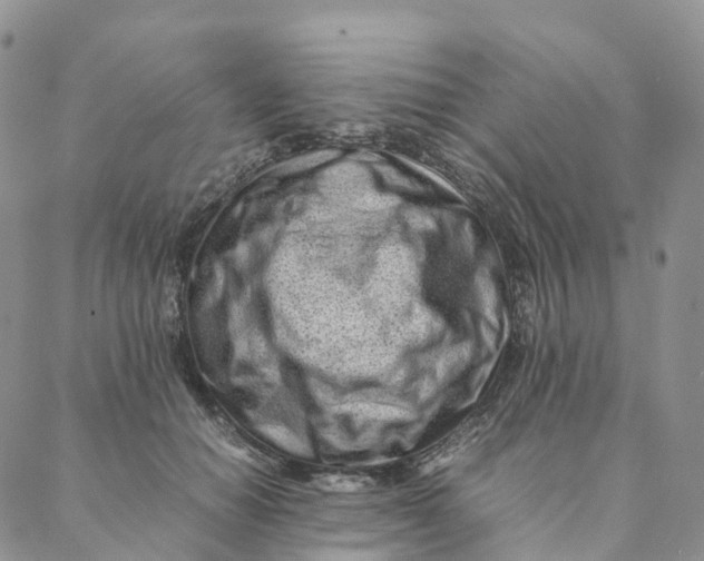 X0000088360654200706121056