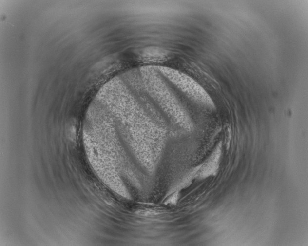 X0000088360655200706121056