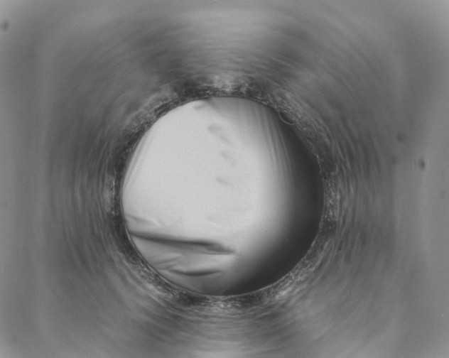 X0000088360656200706121056