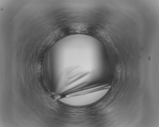 X0000088360657200706121056