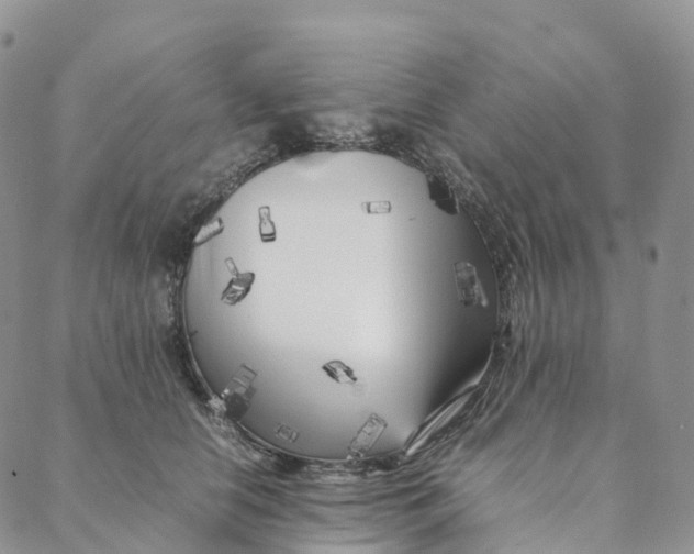 X0000088360658200706121056