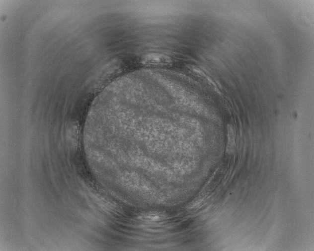 X0000088360659200706121056