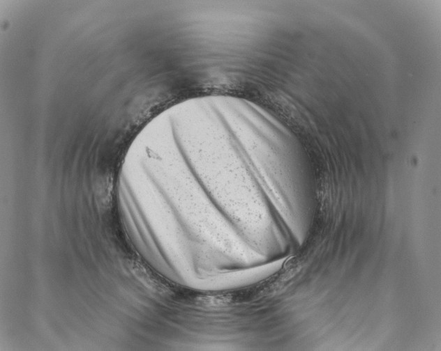 X0000088360660200706121056