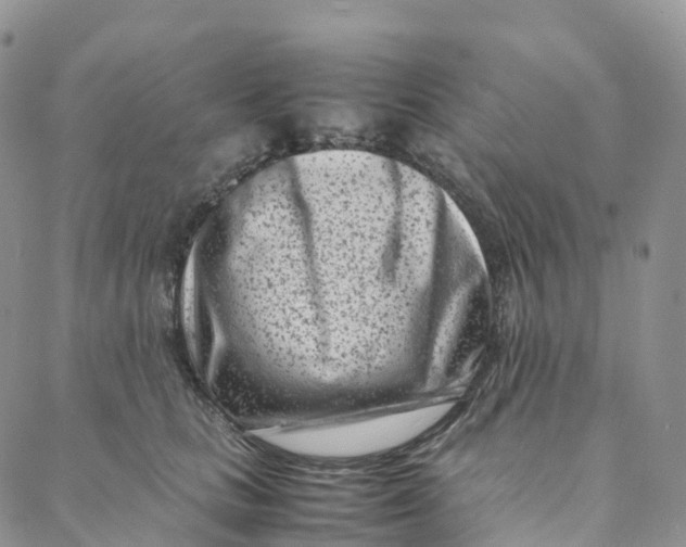 X0000088360661200706121056