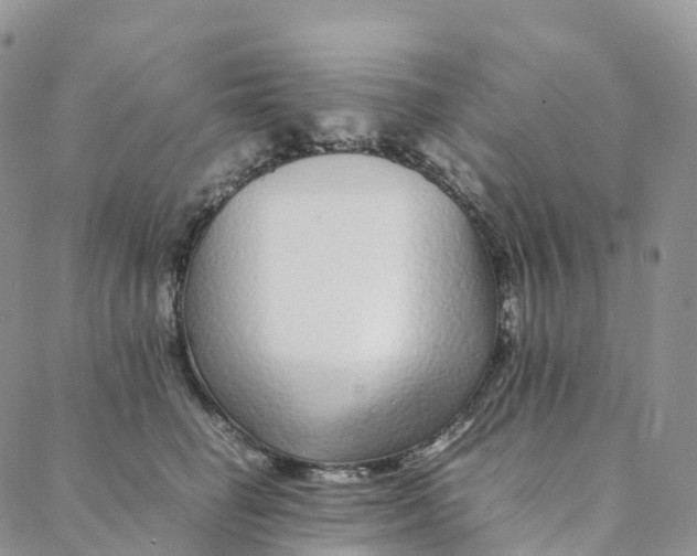 X0000088360662200706121056