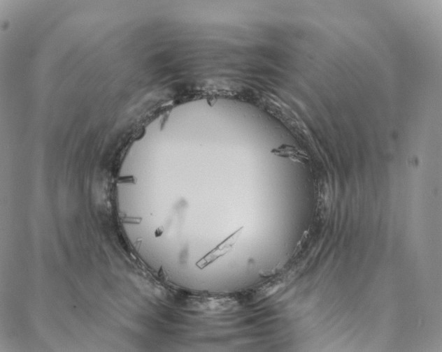 X0000088360663200706121056