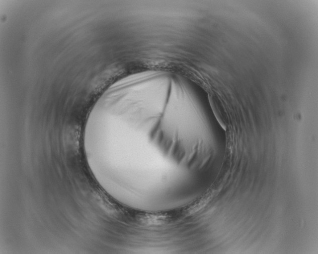 X0000088360664200706121056