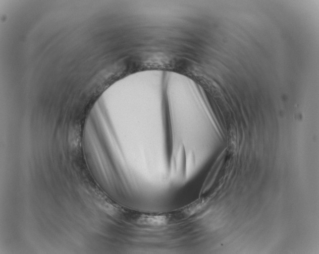 X0000088360665200706121056