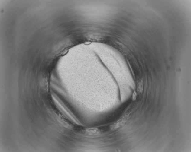 X0000088360666200706121056