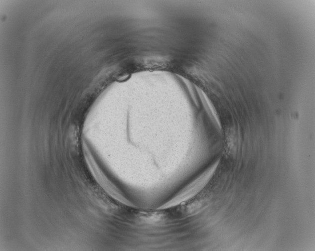 X0000088360667200706121056