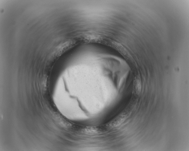 X0000088360668200706121056