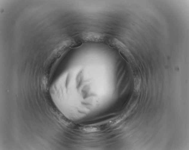 X0000088360669200706121056