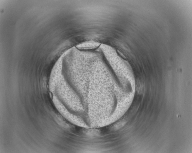 X0000088360670200706121056