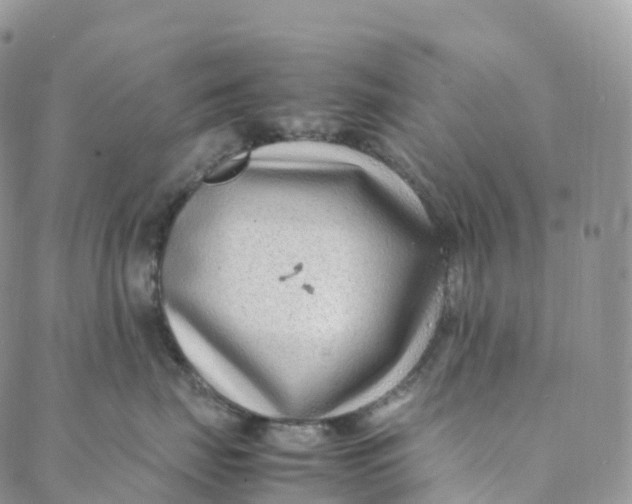 X0000088360671200706121056