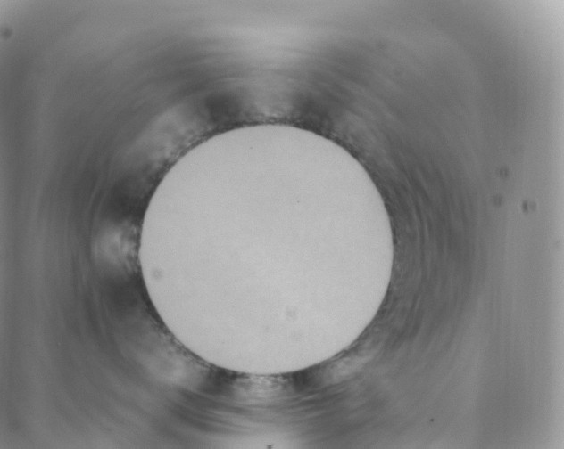 X0000088360672200706121056